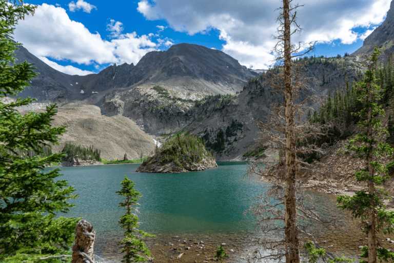 colorado native guide